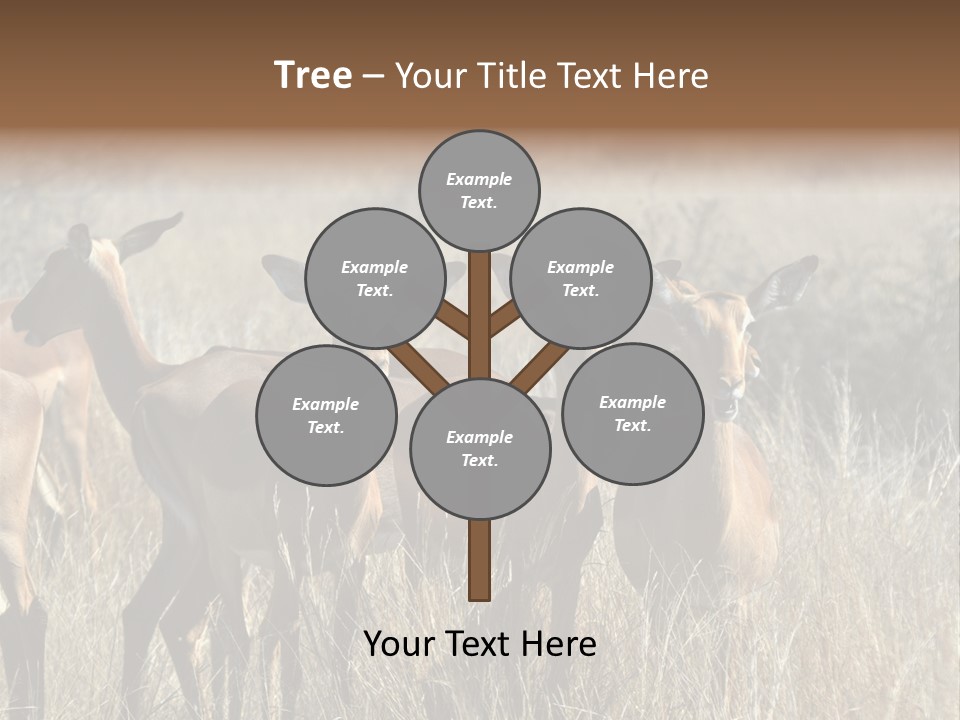 Fauna Ecology National PowerPoint Template