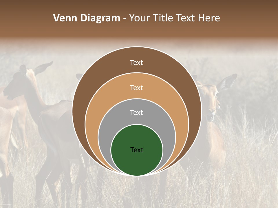 Fauna Ecology National PowerPoint Template