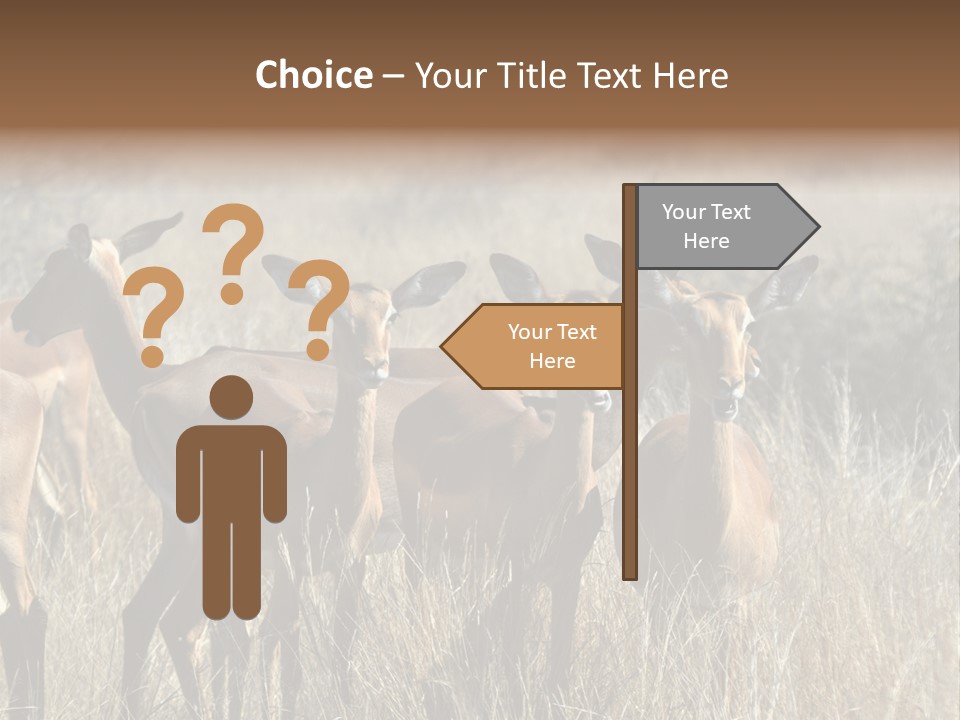 Fauna Ecology National PowerPoint Template