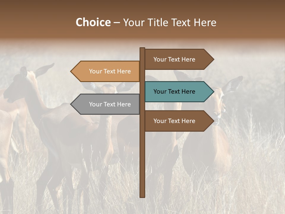 Fauna Ecology National PowerPoint Template