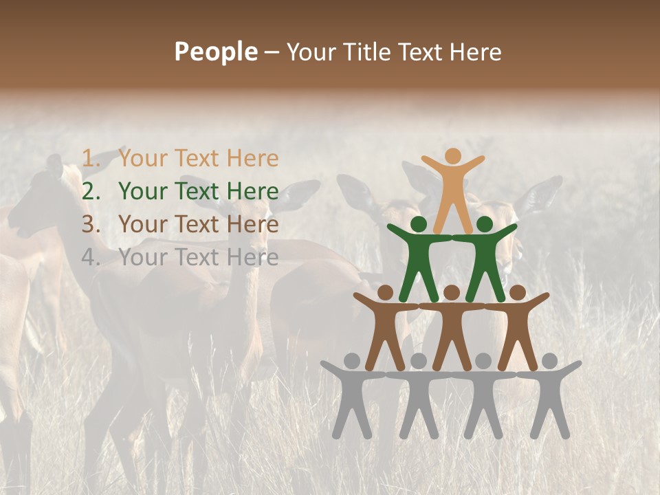 Fauna Ecology National PowerPoint Template