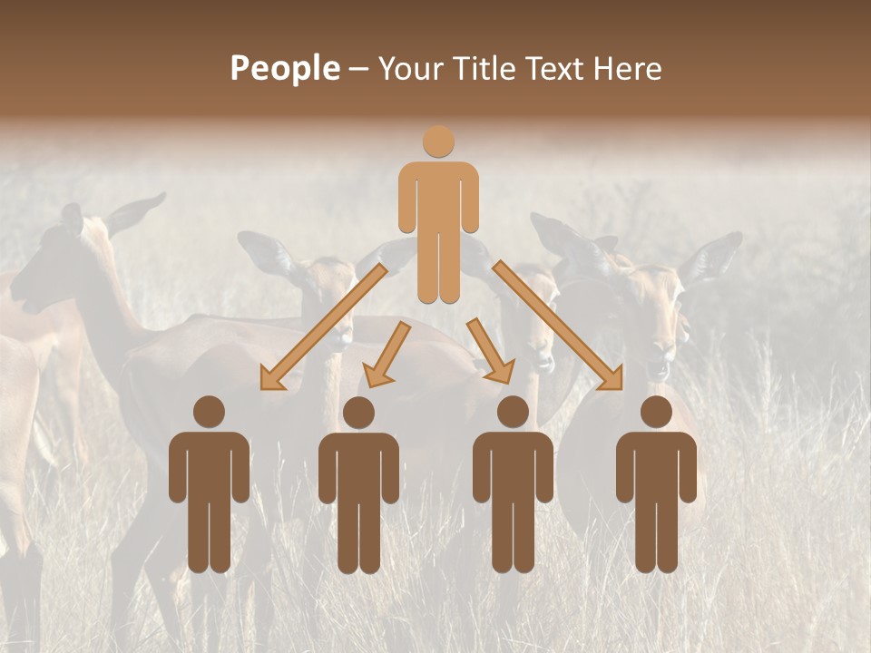 Fauna Ecology National PowerPoint Template