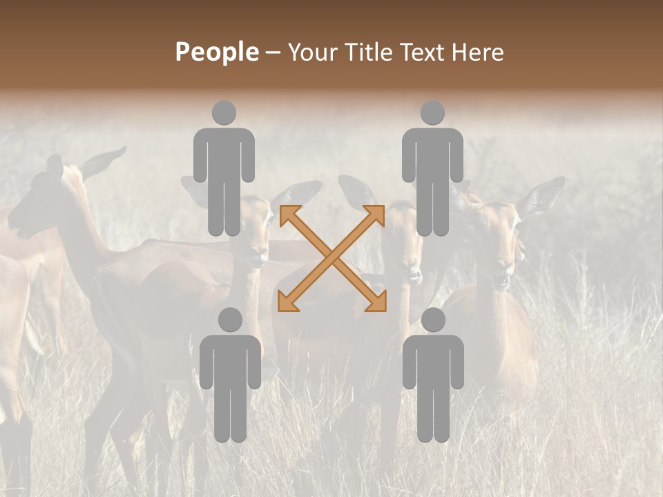 Fauna Ecology National PowerPoint Template