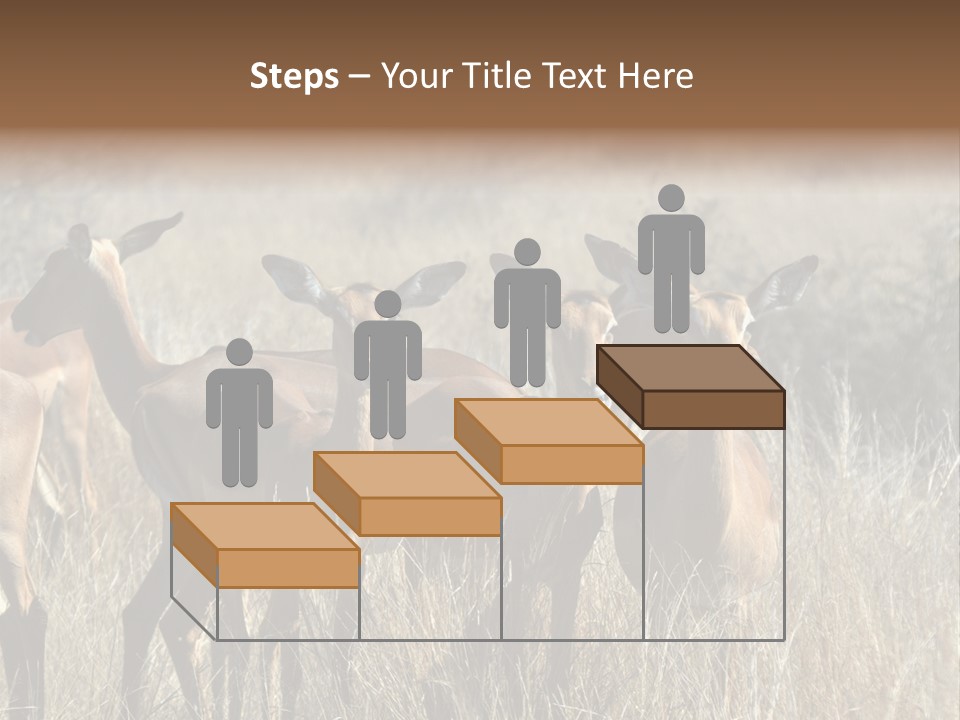 Fauna Ecology National PowerPoint Template