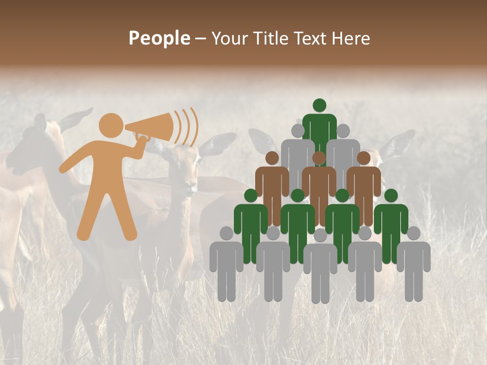 Fauna Ecology National PowerPoint Template