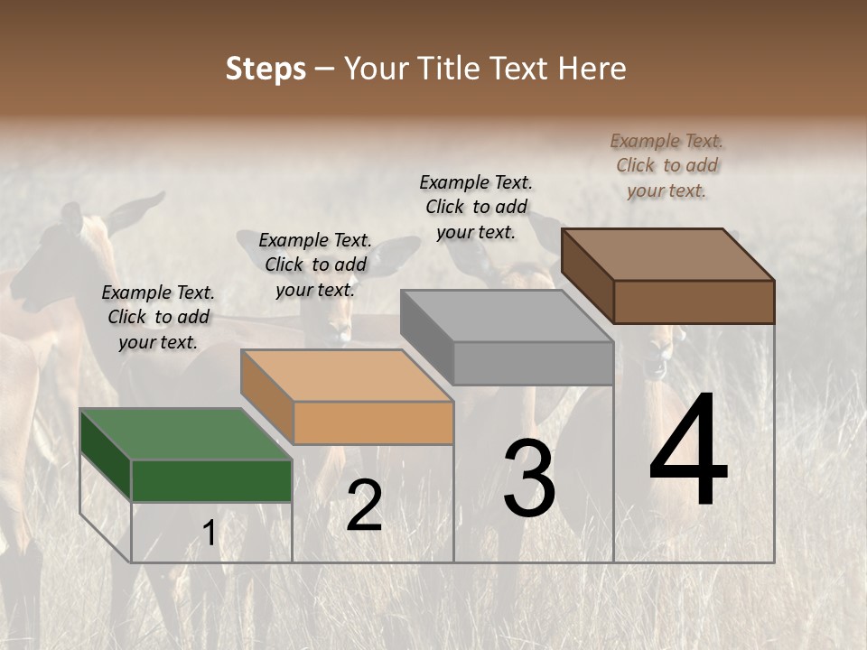 Fauna Ecology National PowerPoint Template