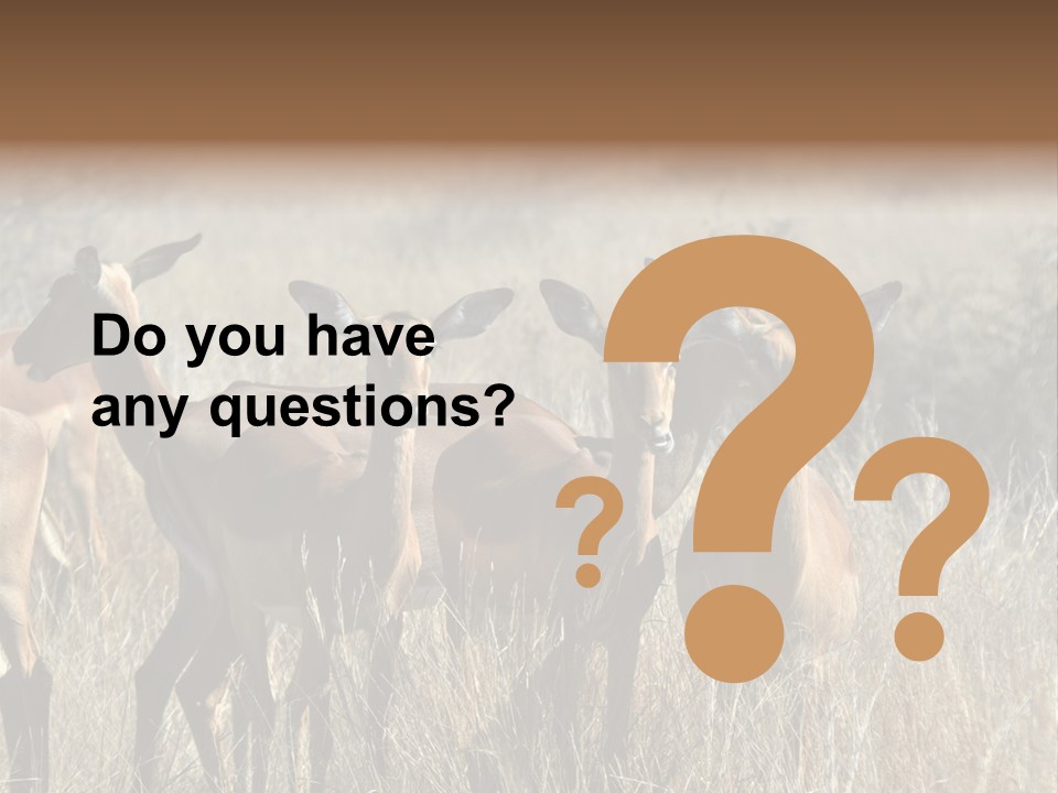 Fauna Ecology National PowerPoint Template