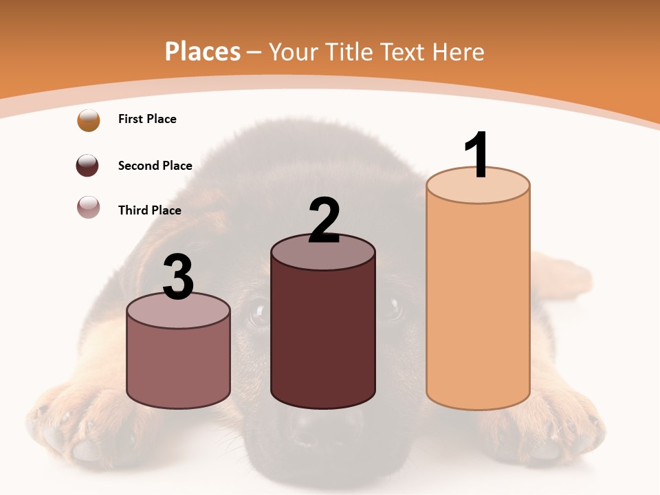 Purebred Domestic Mammal PowerPoint Template