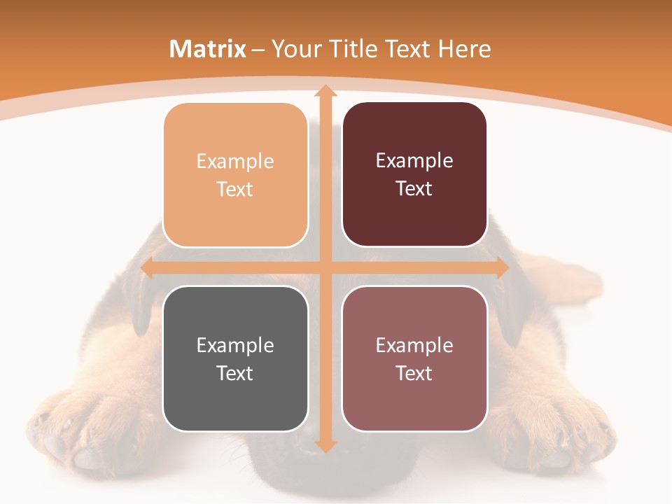 Purebred Domestic Mammal PowerPoint Template