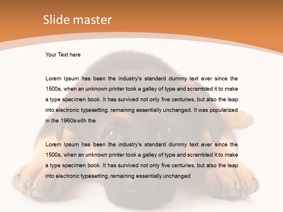 Purebred Domestic Mammal PowerPoint Template