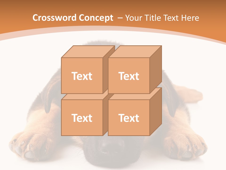 Purebred Domestic Mammal PowerPoint Template