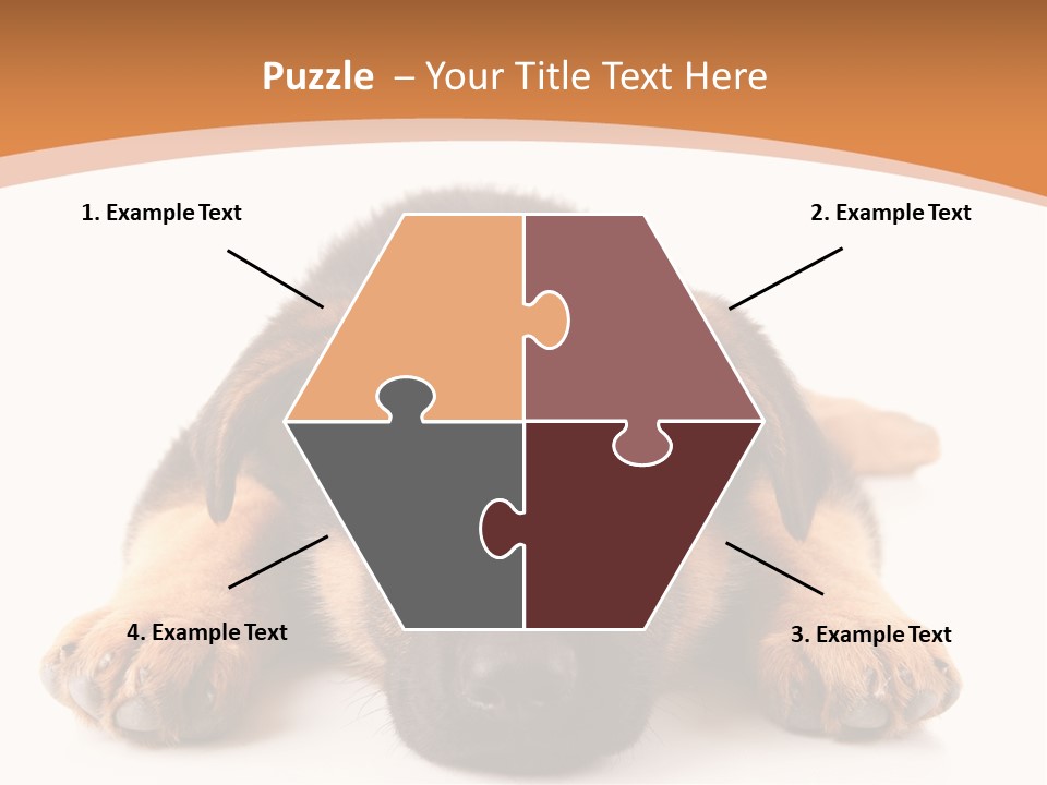 Purebred Domestic Mammal PowerPoint Template