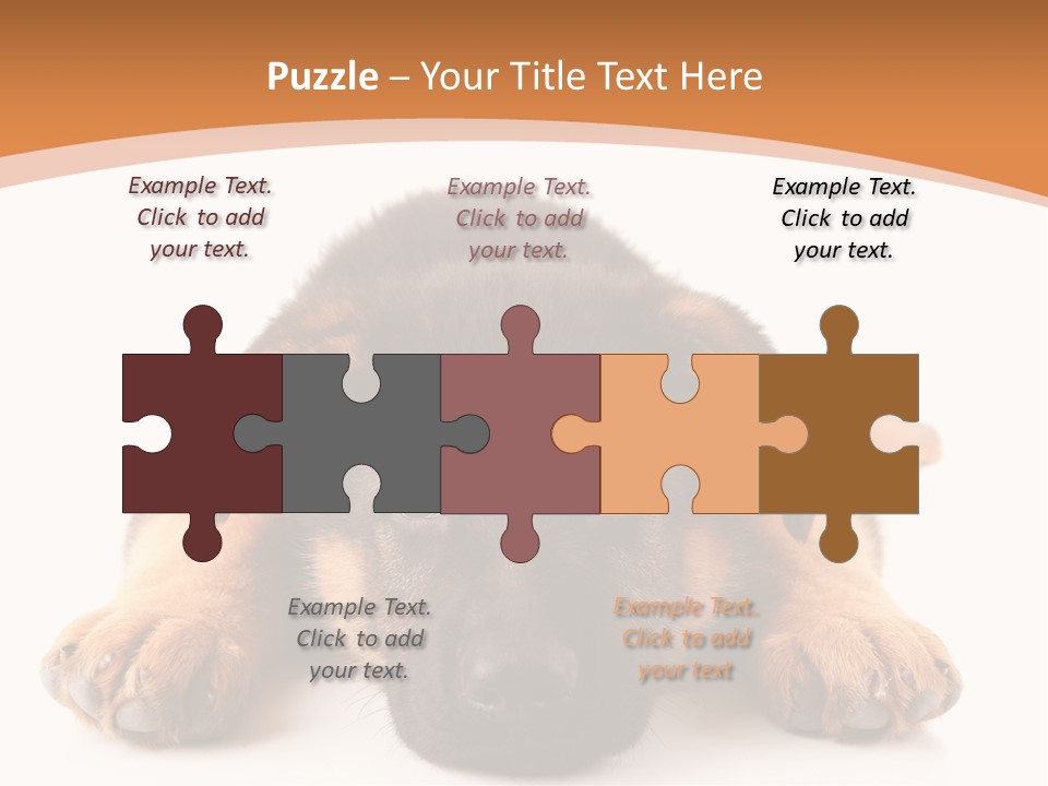 Purebred Domestic Mammal PowerPoint Template