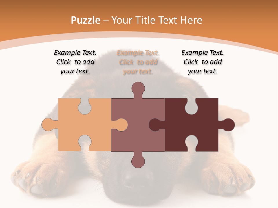 Purebred Domestic Mammal PowerPoint Template