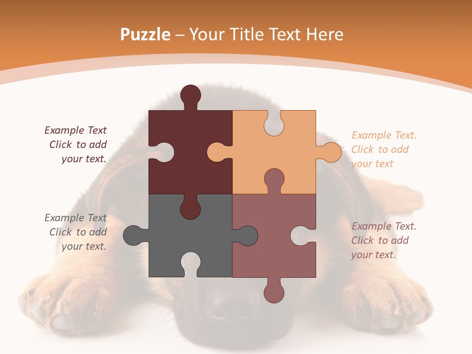 Purebred Domestic Mammal PowerPoint Template