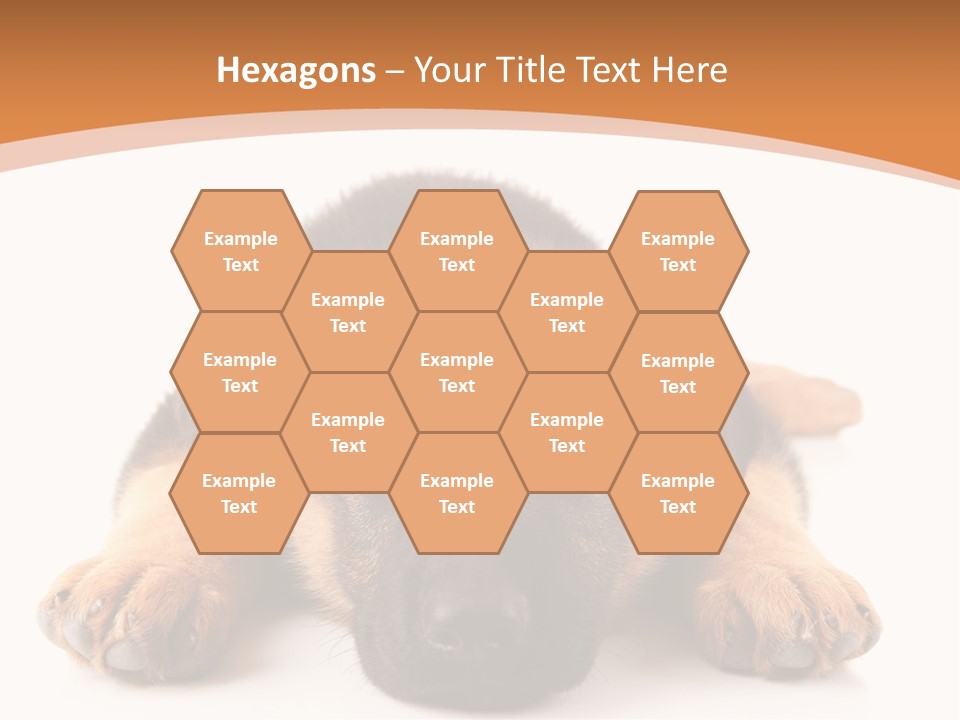 Purebred Domestic Mammal PowerPoint Template