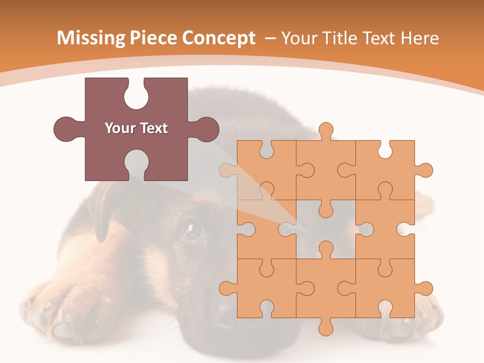 Purebred Domestic Mammal PowerPoint Template