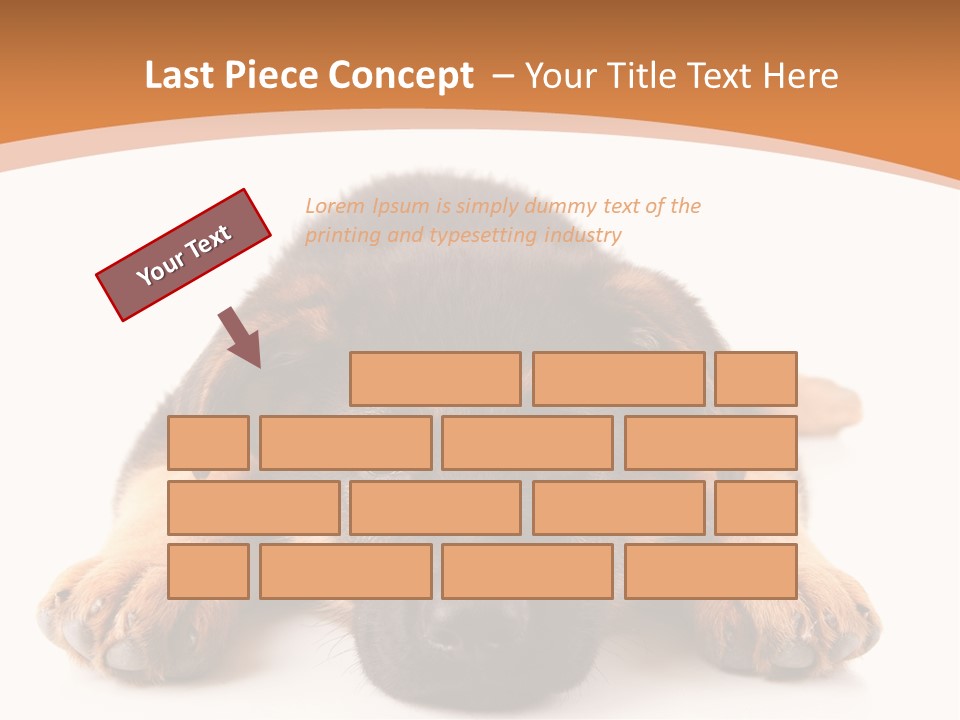 Purebred Domestic Mammal PowerPoint Template