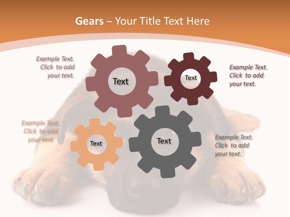 Purebred Domestic Mammal PowerPoint Template