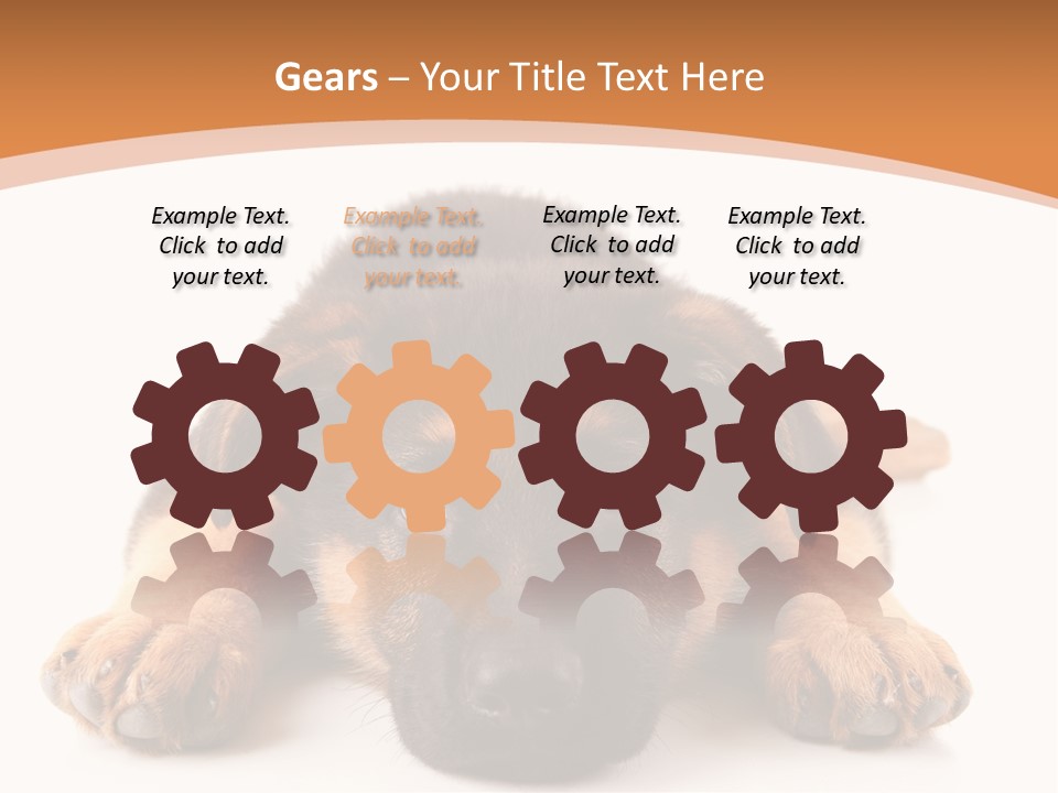 Purebred Domestic Mammal PowerPoint Template