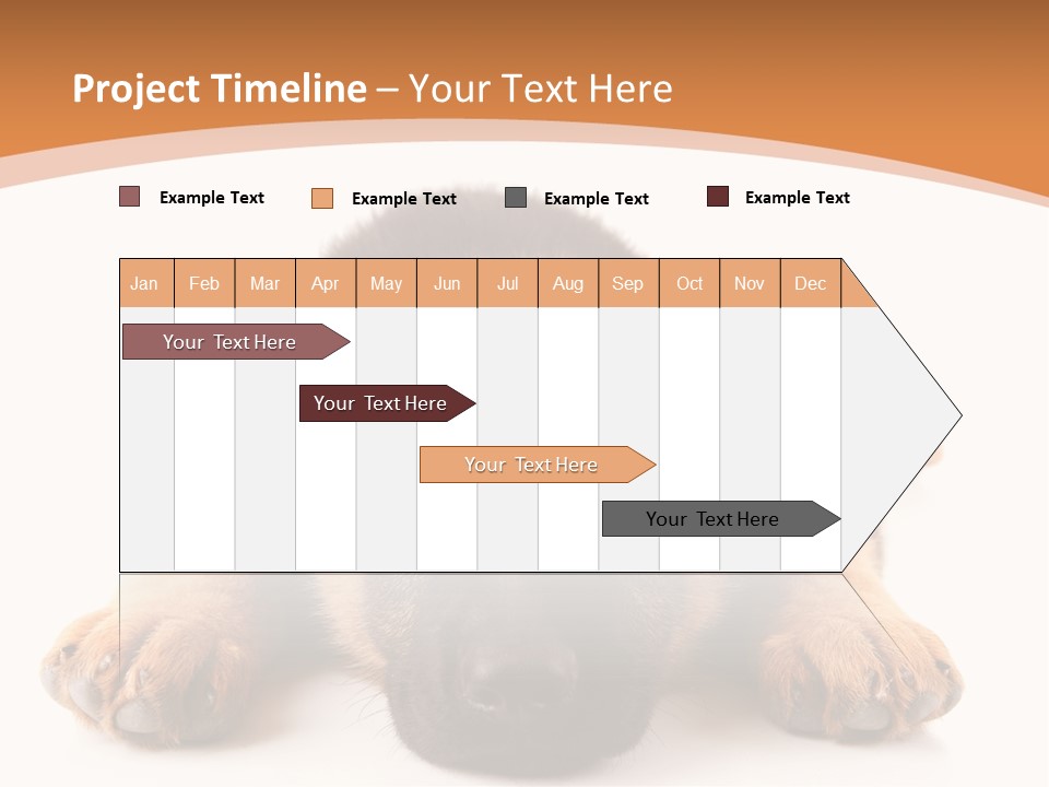 Purebred Domestic Mammal PowerPoint Template
