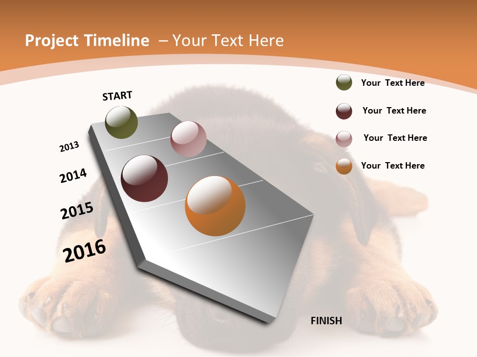 Purebred Domestic Mammal PowerPoint Template