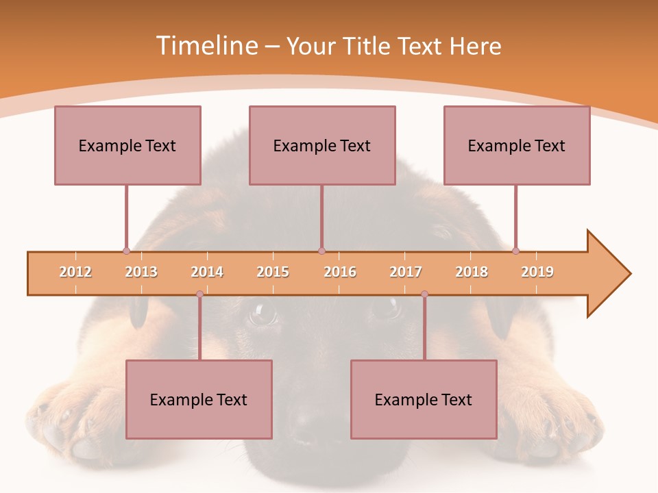 Purebred Domestic Mammal PowerPoint Template