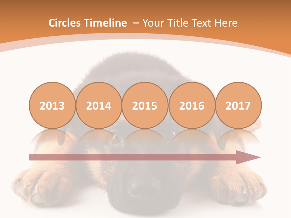 Purebred Domestic Mammal PowerPoint Template