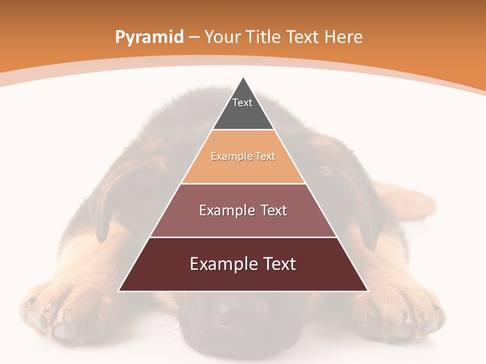 Purebred Domestic Mammal PowerPoint Template