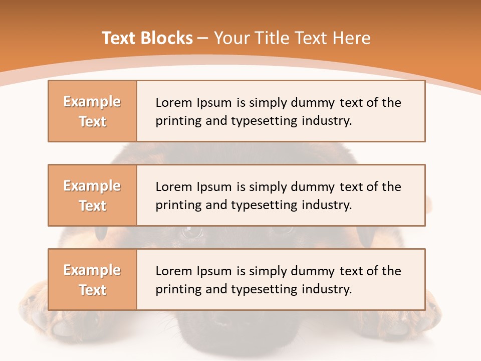 Purebred Domestic Mammal PowerPoint Template