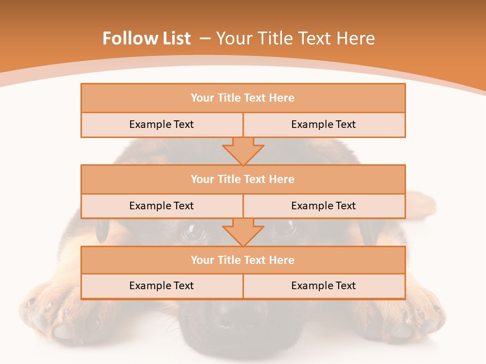 Purebred Domestic Mammal PowerPoint Template