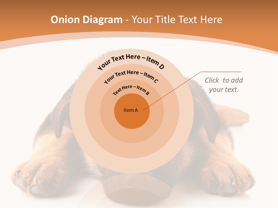 Purebred Domestic Mammal PowerPoint Template