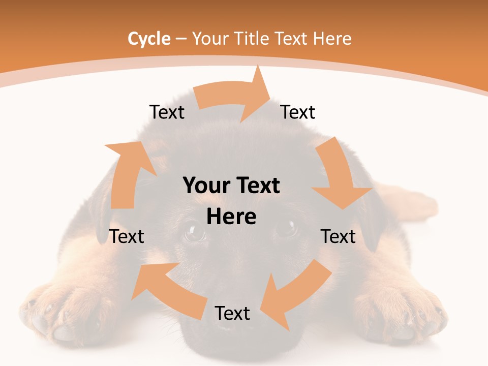 Purebred Domestic Mammal PowerPoint Template