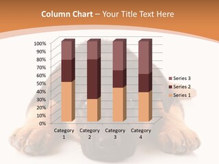 Purebred Domestic Mammal PowerPoint Template