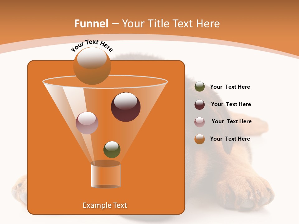 Purebred Domestic Mammal PowerPoint Template