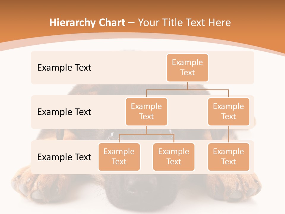 Purebred Domestic Mammal PowerPoint Template