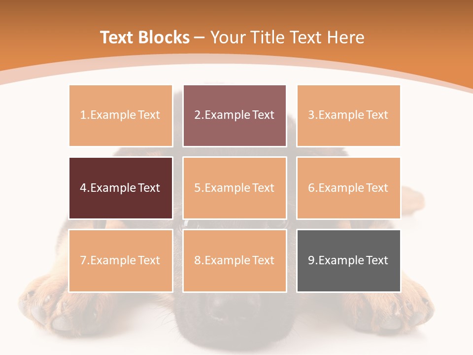 Purebred Domestic Mammal PowerPoint Template