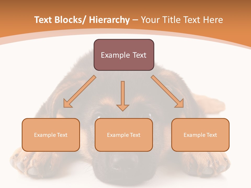 Purebred Domestic Mammal PowerPoint Template