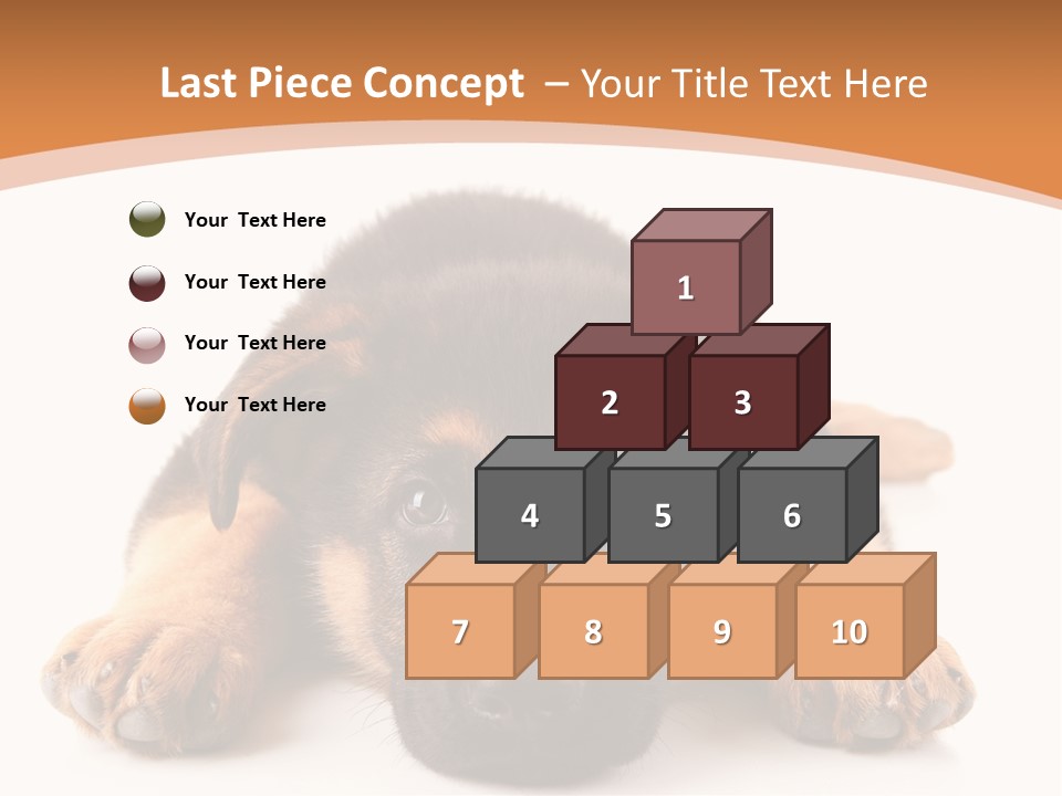 Purebred Domestic Mammal PowerPoint Template