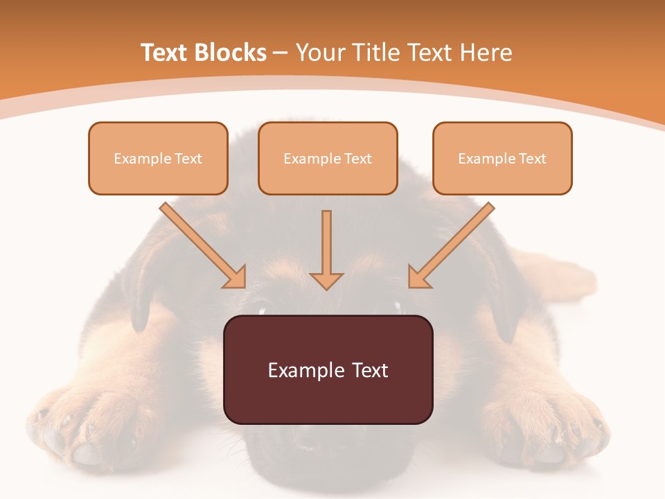 Purebred Domestic Mammal PowerPoint Template