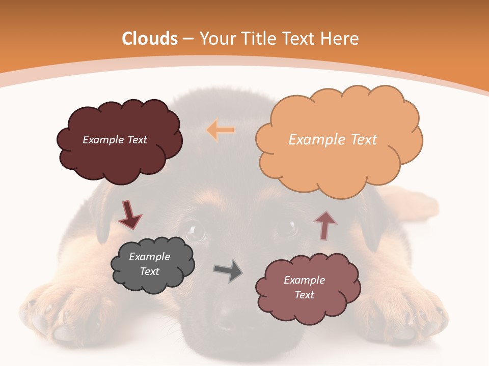 Purebred Domestic Mammal PowerPoint Template