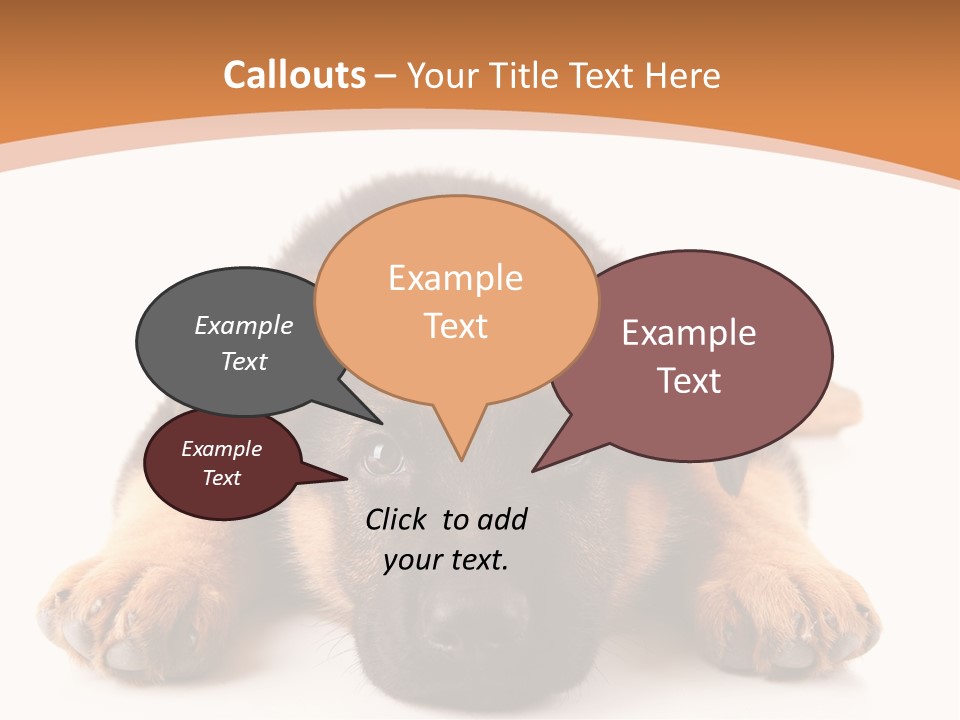 Purebred Domestic Mammal PowerPoint Template