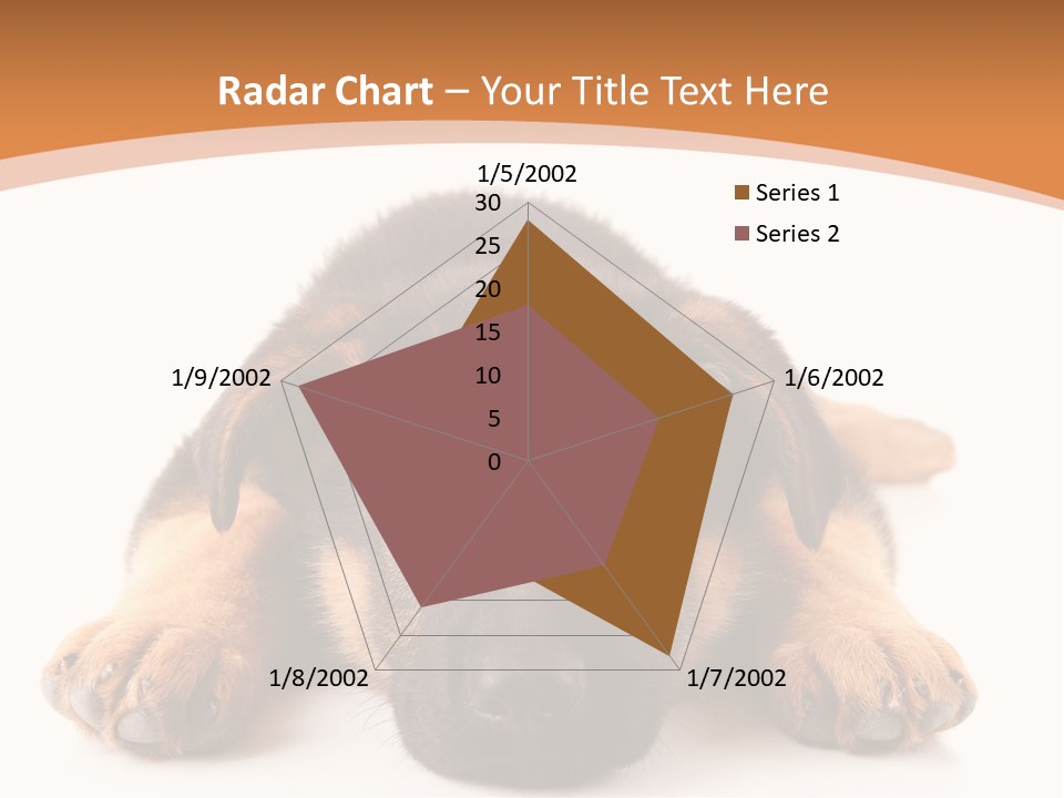 Purebred Domestic Mammal PowerPoint Template