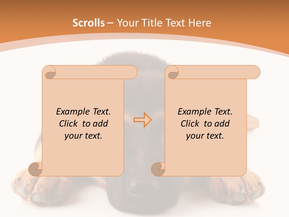 Purebred Domestic Mammal PowerPoint Template