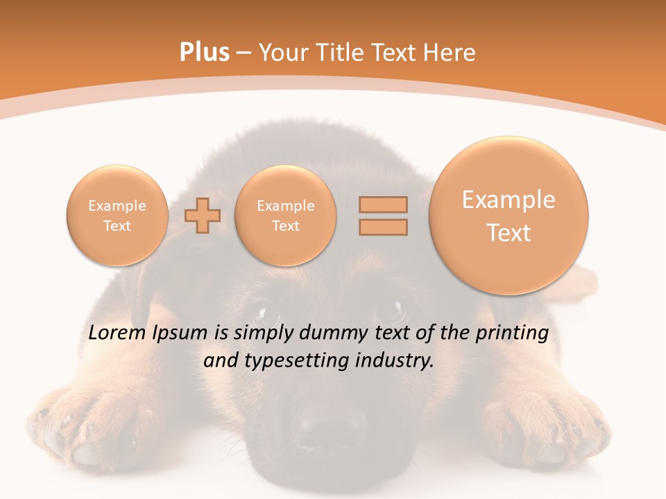 Purebred Domestic Mammal PowerPoint Template
