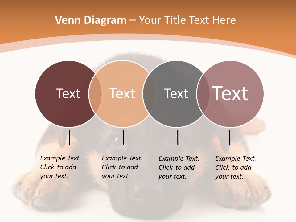 Purebred Domestic Mammal PowerPoint Template