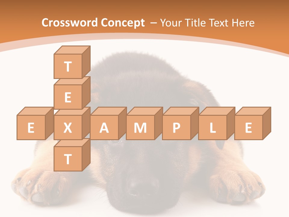 Purebred Domestic Mammal PowerPoint Template