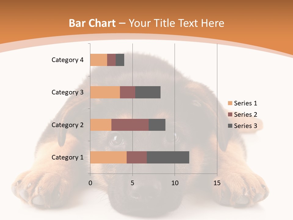 Purebred Domestic Mammal PowerPoint Template