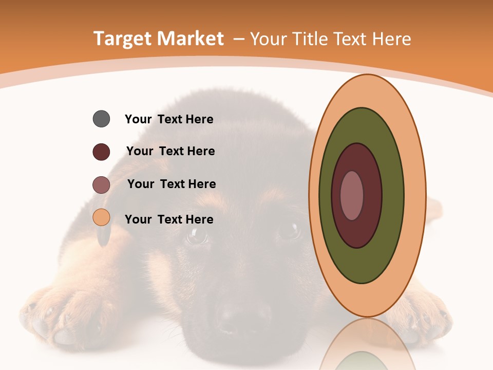 Purebred Domestic Mammal PowerPoint Template