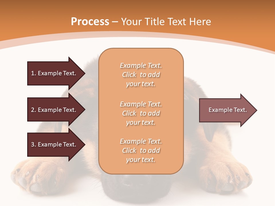 Purebred Domestic Mammal PowerPoint Template